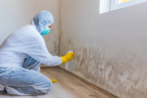 Licensed Crawl Space Mold Removal service in Long Branch, VA - WQB Mold Removal