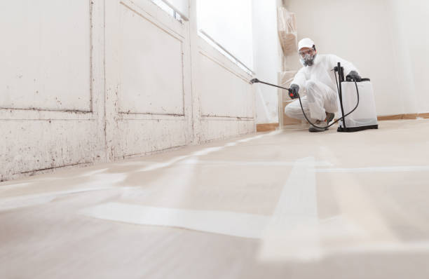 24/7 Emergency Crawl Space Mold Removal experts in Long Branch, VA