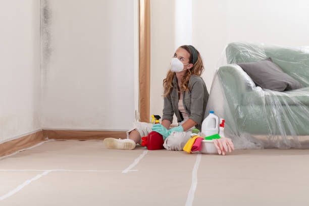 Reliable Crawl Space Mold Removal contractor in Long Branch, VA by WQB Mold Removal