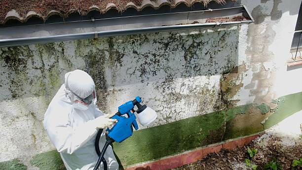 Top rated local Crawl Space Mold Removal specialists in Long Branch, VA